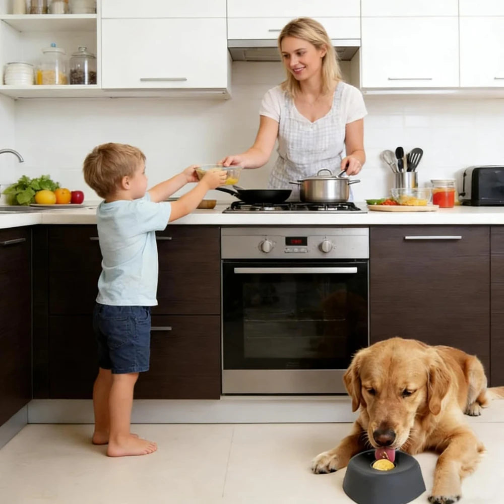Anti-Skid Dog Treat Dispensing Bowl