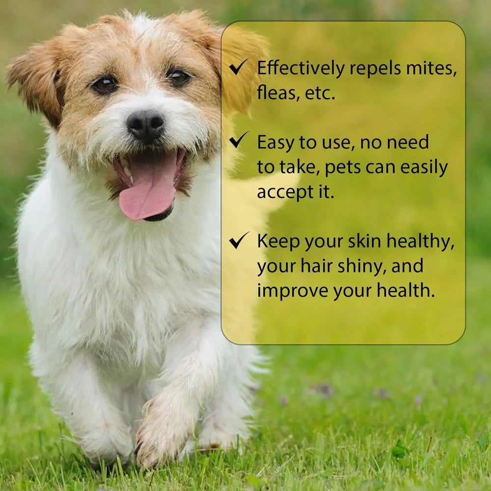 Cat Flea & Tick Treatment Drops