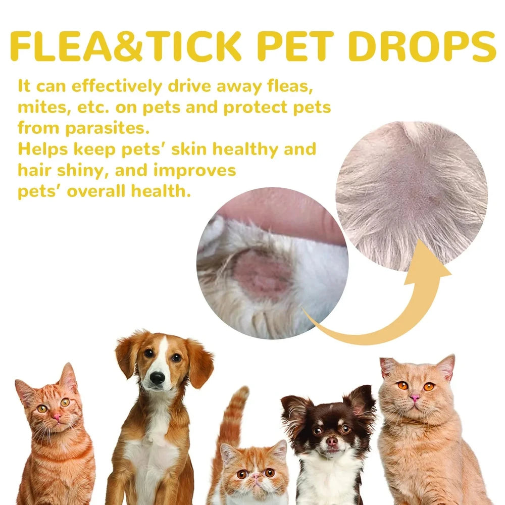 Cat Flea & Tick Treatment Drops